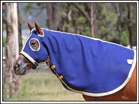 Kersey Wool Hood