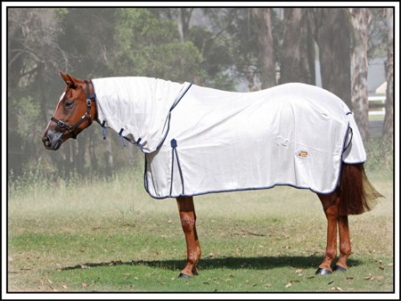 Sunshade Mesh Combo