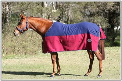 Polar Fleece Rug