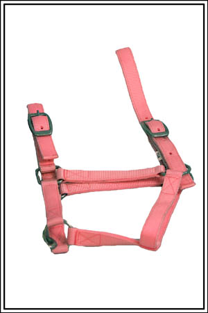 Web Headstall