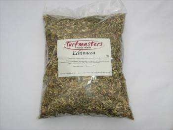 Turfmaster Echinacea