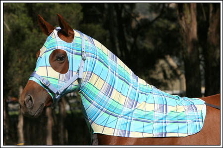 Lycra Skinny Hood