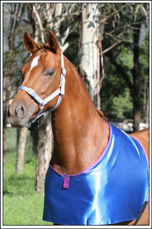 Satin Bib