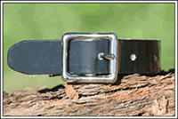 Rug Front Strap