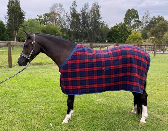Wool Rug
