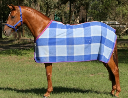 Wool Rug
